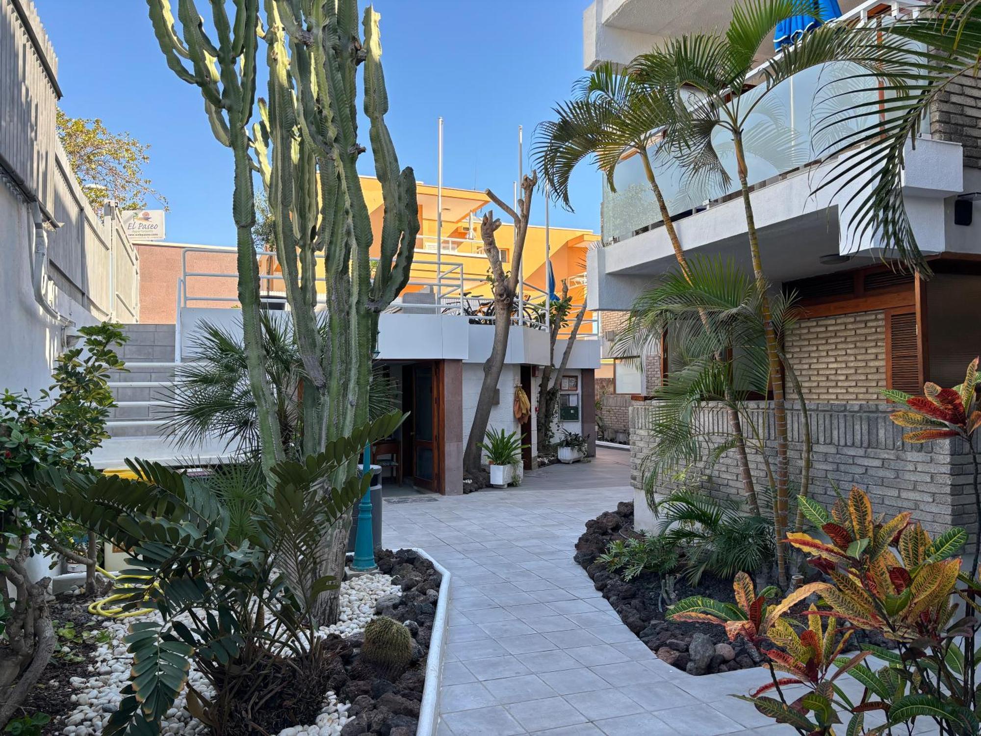 Apartamentos El Paseo ปลายา เดล อิงเกลส ภายนอก รูปภาพ