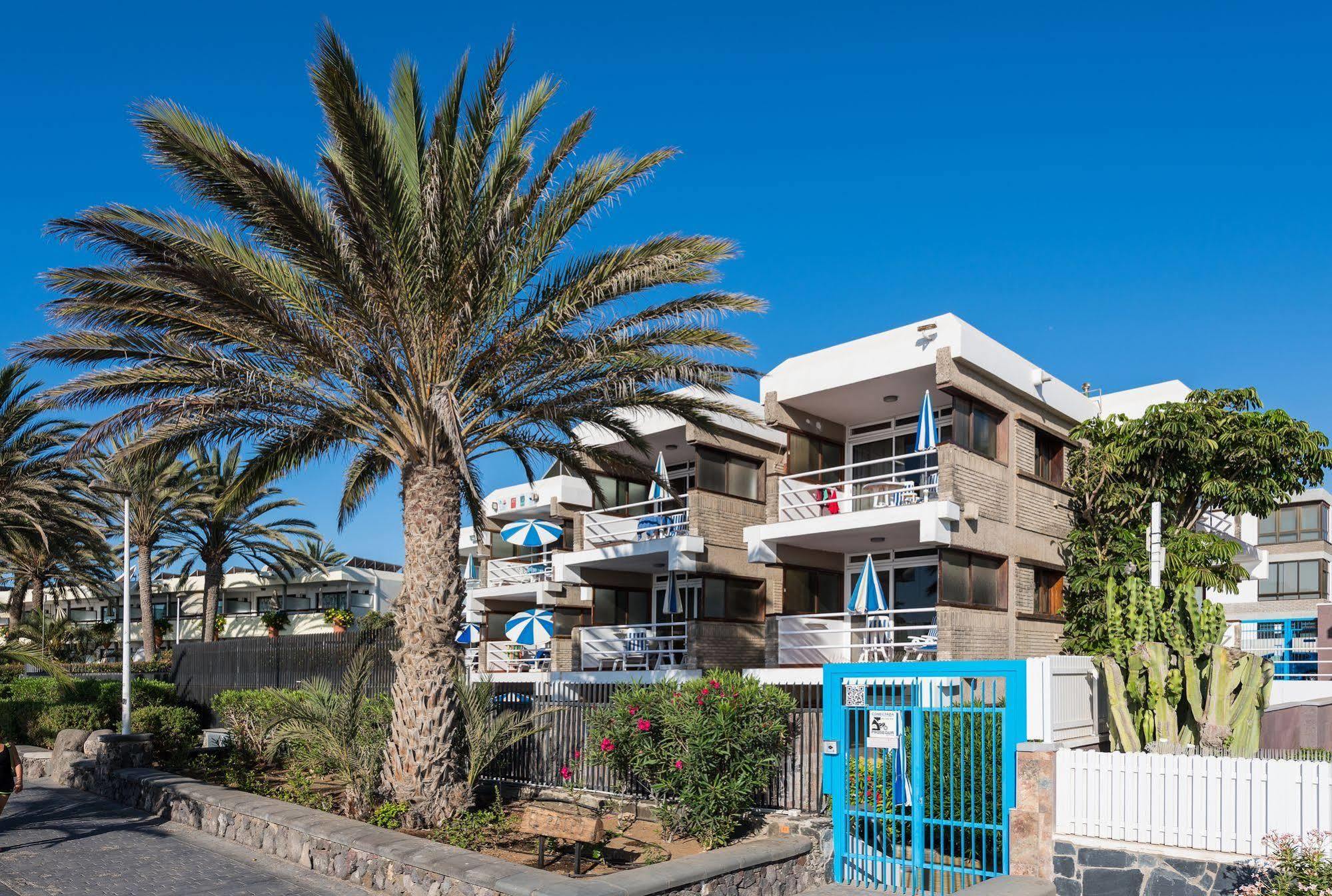 Apartamentos El Paseo ปลายา เดล อิงเกลส ภายนอก รูปภาพ